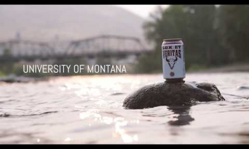 Griz Montana Lager Featured YouTube Image